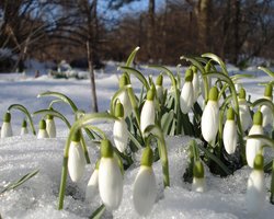 Повертається типова зима: Діденко розповіла, коли потеплішає в Україні