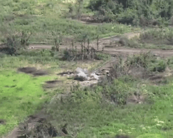 Осталась лишь груда металла: дроны ВСУ лишили россиян танка за $3 млн (видео)