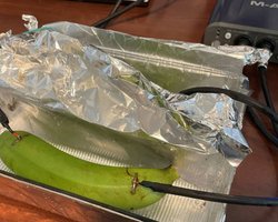 Слухати музику в хорошій якості можна за допомогою банана: що показав експеримент