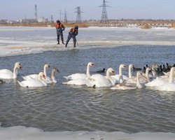 Южный ледовитый. Крымчане в полной мере ощутили жестокость стихии