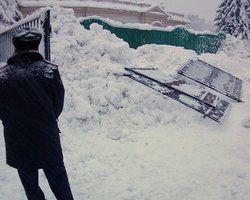 МВД: Беркут в Раду никто не вызывал