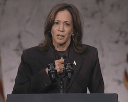 "Не то, к чему стремились": Харрис признала поражение на выборах и позвонила Трампу (видео)