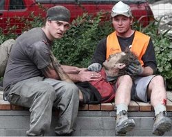 Землетрясение в Новой Зеландии: число погибших достигло 147