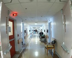 Заболеваемость свиным гриппом в Украине, возможно, достигла пика, - ВОЗ