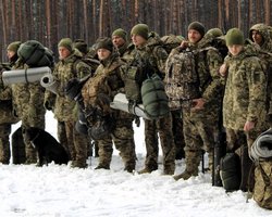 В ОП готовят изменения в распределении мобилизованных в ВСУ: что ждет бригады и новобранцев