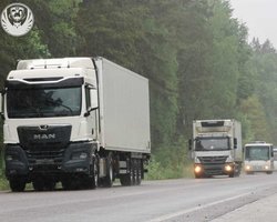 До України повернули понад 500 тіл загиблих
