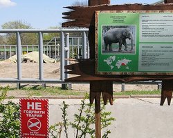 В столичном зоопарке объявлен траур