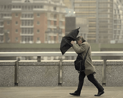 Мокрий сніг і сильний вітер: в Україну йде похолодання