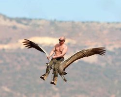  Блогеры высмеяли полет Путина с журавлями