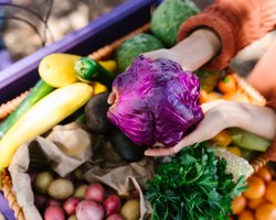 Цена продуктов для борща изменится: что может вскоре существенно подешеветь