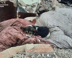 ПВО сбила все ракеты во Львовской области, причину падения снаряда с 5 погибшими изучают, – ОВА