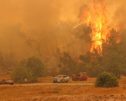 "Люди хотели устроить самосуд": в Турции задержали подозреваемых в поджоге лесов