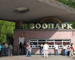  В Киевском зоопарке родился бизон 