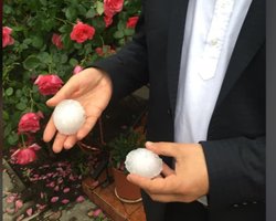 На Буковине град величиной с куриное яйцо побил крыши