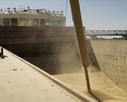 Варшава молчит: как Киев пытается договориться с Польшей и снять запрет на ввоз зерна