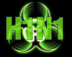 ВОЗ: пандемия гриппа H1N1 не завершилась