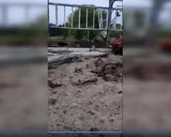 ВСУ ударом из HIMARS уничтожили базу россиян в Херсонской области, — соцсети (фото, видео)