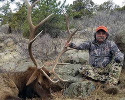 Миллионера из США, который годами убивал диких животных, затоптали слоны в Африке