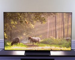 Не только LG: эксперты назвали топ-5 лучших OLED-телевизоров на любой бюджет (фото)