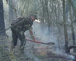На Волыни повысилась пожарная опасность
