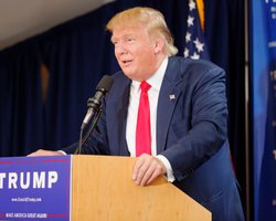 В штате Мичиган официально утвердили победу Трампа