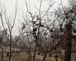 Под Москвой горят 160 га леса