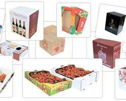 Коробка с решениями