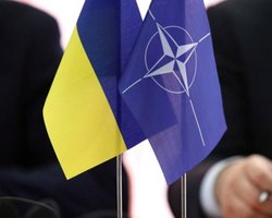 "Все смогут договориться": в НАТО могут упростить интеграцию для Украины