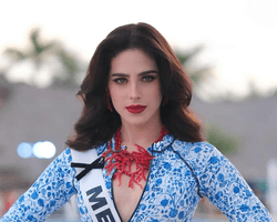 Найкрасивішу жінку світу "Міс Всесвіт-2025" звинуватили в брехні (фото)