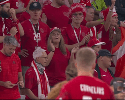 Боевая ничья: Дания заработала первый бал на Чемпионате мира, сыграв вничью с Тунисом