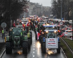 Фермеры Польши устроили новую блокаду Украины: детали нового обострения на границе (фото, видео)