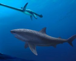 Жуткая акула держала океан в страхе за 15 млн лет до появления мегалодона: какой она была (фото)