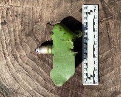 Организация Human Rights Watch обвинила ВСУ в использовании запрещенных мин: что известно