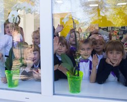 Шанс на независимость. Как типовая учебная программа мешает школам стать самостоятельными