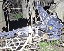 Удачно попали: как мобильные огневые группы уничтожили Shahed на Херсонщине (видео)