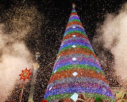 Власти Киева приглашают всех желающих украсить столицу к Новому году