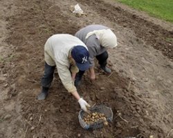 Назван лидер среди областей Украины по приросту агропроизводства