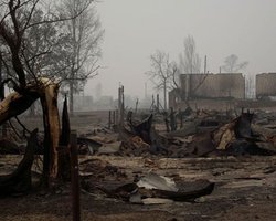 В семи регионах России из-за пожаров введен режим ЧП 