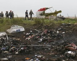 Поисковая группа прекращает работу на месте крушения MH17