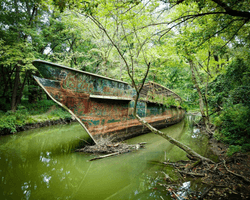 Військова історія, Едісон і Мадонна: що приховує корабель-привид у болотах (фото, відео)