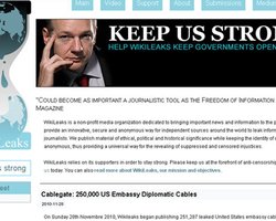В МИД Украины раскритиковали Wikileaks