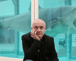 Скандальный шедевр. Инструкция от Дэмьена Херста: как продать маринованную акулу за $12 млн