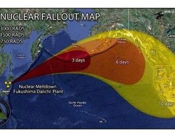 Радиоактивное облако от взрыва японской АЭС  может накрыть США