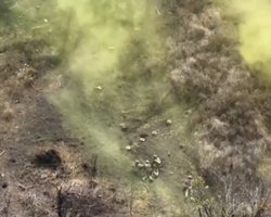 Цветной штурм: квартет бойцов ВСУ на Запорожье заставил оккупантов бежать с позиций (фото)