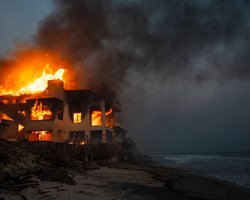 Пожар в Лос-Анджелесе начался из-за оборванного провода электросети: расследование Bloomberg