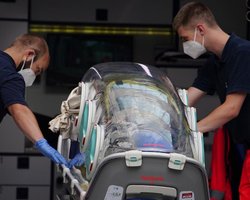 Путин ответил на вопрос Венедиктова об отравлении Навального