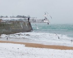 В Крыму в море упал автомобиль с россиянином. Водитель погиб