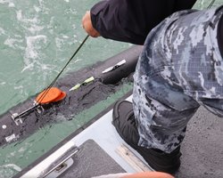 Великобритания передает Украине подводные беспилотники: на что они способны