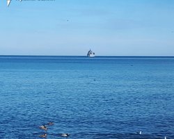 Удар по ВДК "Новочеркасcк": з бухти Феодосії пішли два російські кораблі, — ЗМІ (фото)