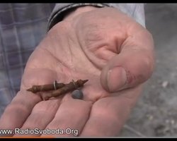 На крыше колоннады стадиона "Динамо" нашли охотничью дробь, - СМИ